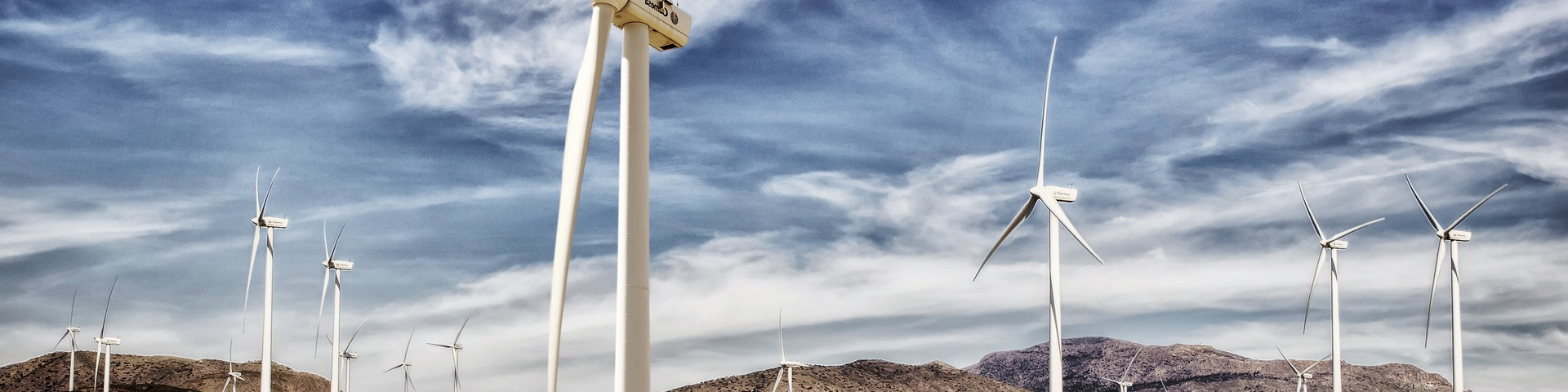 Vigilancia Ambiental Parques Eólicos