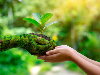 CUIDAMOS EL MEDIOAMBIENTE Sfera Ambiental