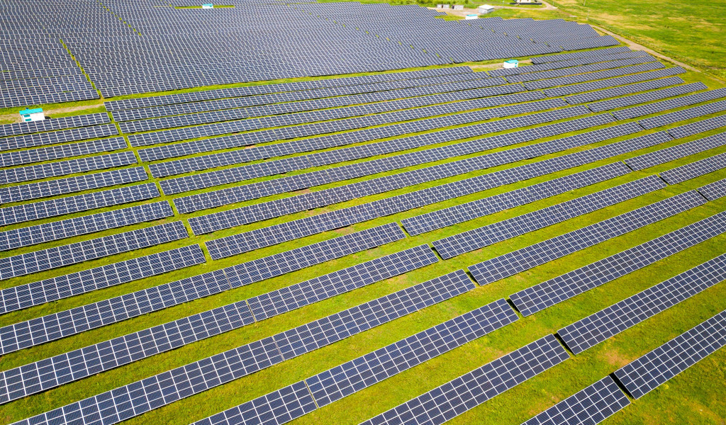 Vigilancia ambiental en parque fotovoltaicos, consultora ambiental Formación ambiental fotovoltaicos,