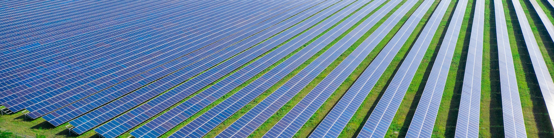 Vigilancia parques fotovoltaicos