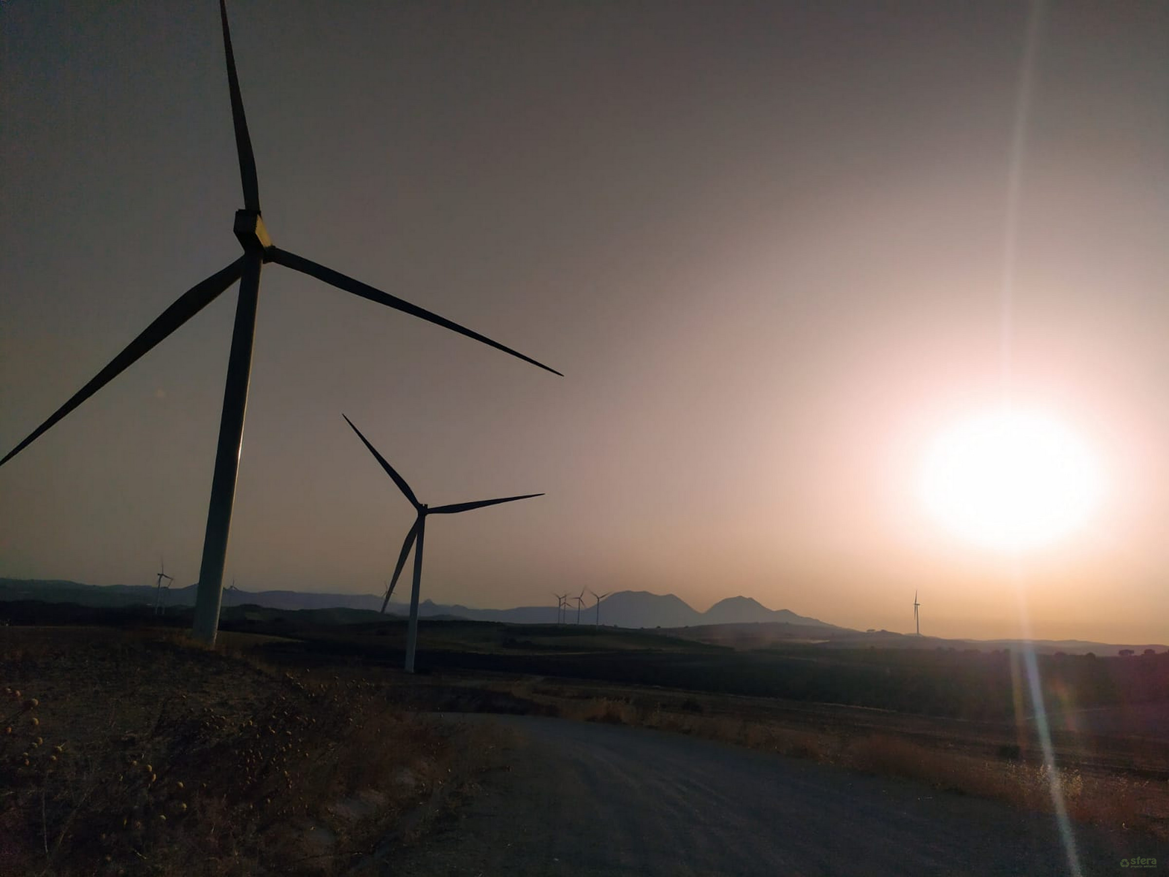 Vigilancia ambiental en parque eólicos, consultora ambiental Formación ambiental Sfera Málaga Online